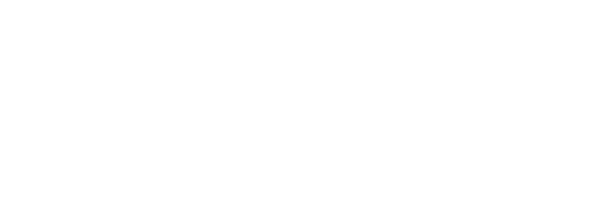 google-white-logo-2048x674